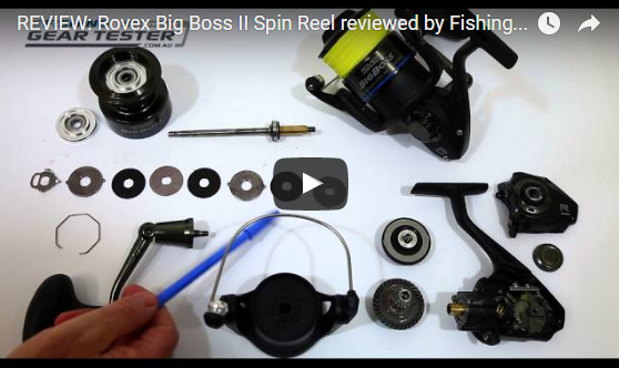 Over 20,000 trout cod were recently released into the Macquarie River at three locations downstream of Bathurst.